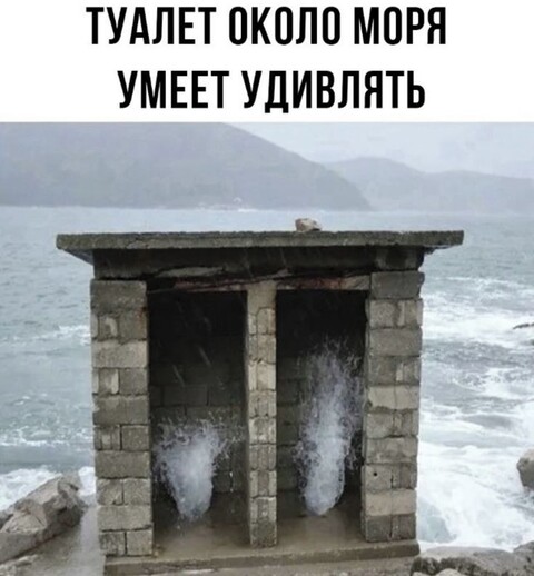 308c44746047fc9bdfbf14333c09a6de.jpg