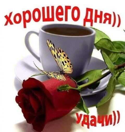 Хорошего дня.jpg