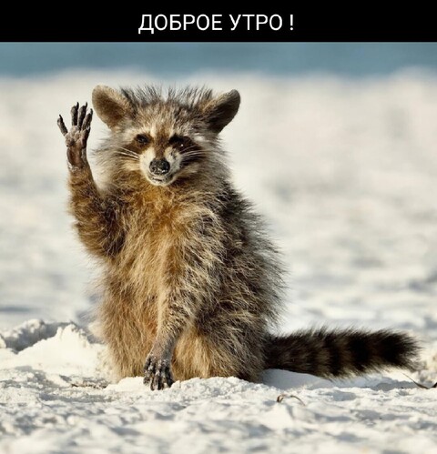 Доброе Утро.jpg