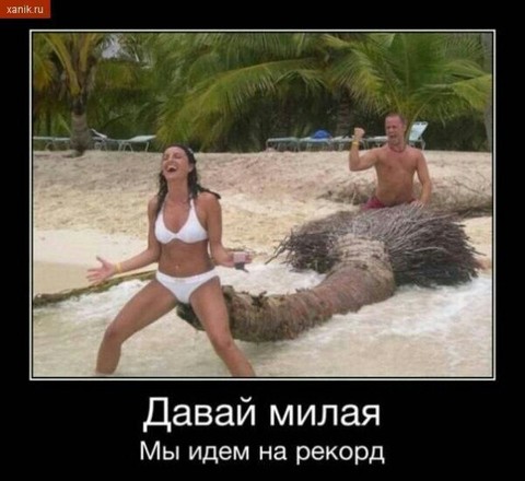 1408769519.jpg