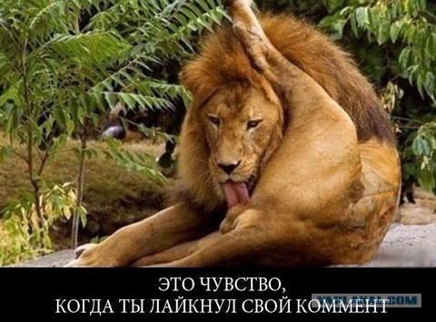 Дсдадад.jpg