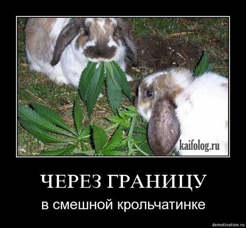 s3img 22099143 810 1.jpg