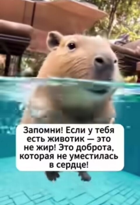 f742386fe4dd3378f72a65fa38d8d1ab04841f1682517f13581638295d7add07 1 jpg 1.jpg