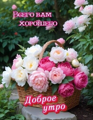 Доброе Утро.jpg