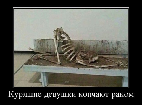 1443336866 22.jpg