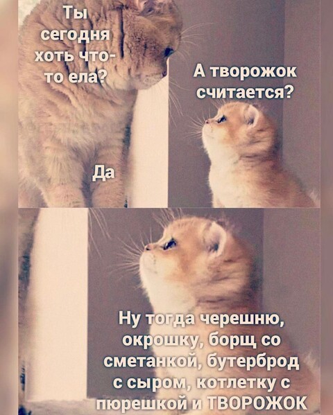 f9d2a030fd707c882bdfce46c1e0bc95f4295429e53aff79e77be6470a7f8d25 1 jpg 1.jpg