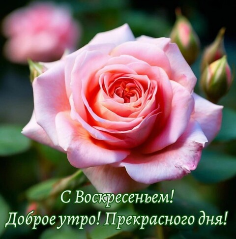 IMG-20240721-WA0023.jpg