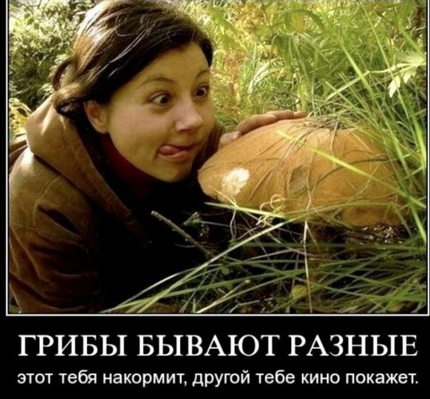 104dab2e-c4ad-4353-91a9-ea89a9619280.jpg