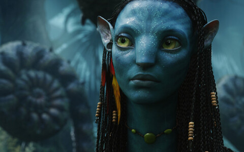 4698-neytiri - avatar.jpg