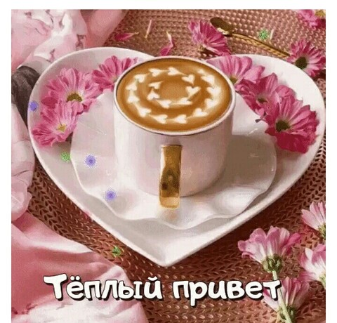 Тёплый Привет.jpg