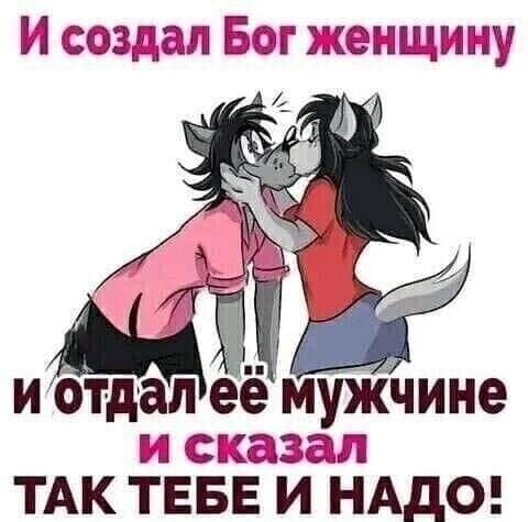 75e88cbb-d62c-4c9b-872d-f415ed6110ba.jpg