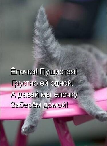 15fb790747832e8fd3463c287ead305552db2bd87ece7d947cc7ff63657fda05 1 jpg 1.jpg