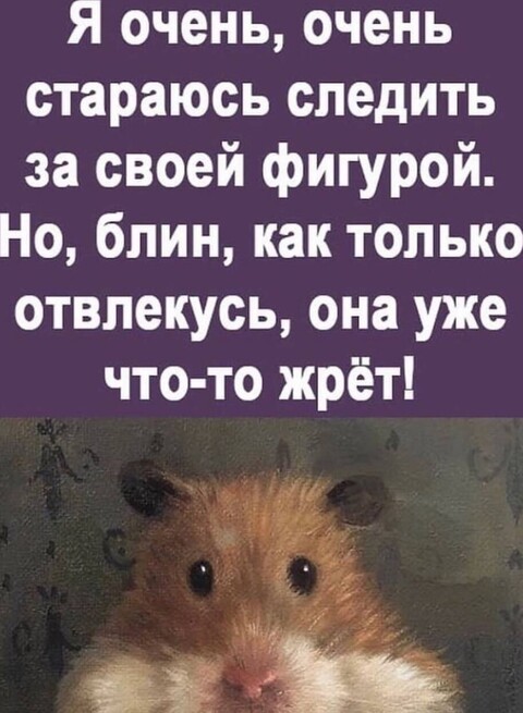 959a7c62407f83a2f49950ee8241ee826d02972b1c55057512ad88d4a876daec 1 jpg 1.jpg
