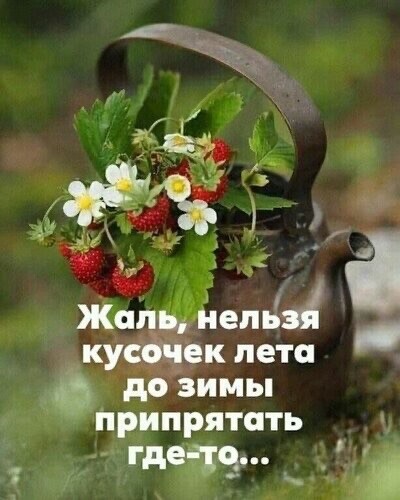 Лето.jpg