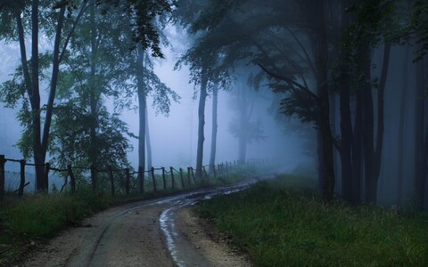 Wallpapers Mix 655 295.jpg