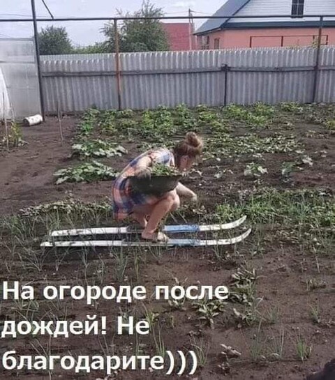 a7c3d00090fe7dc6a0d46396e6462317.jpg