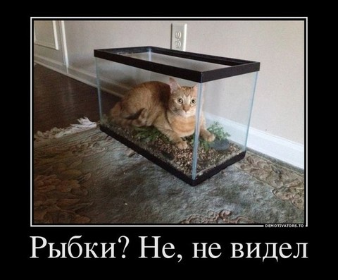 Дм.jpg