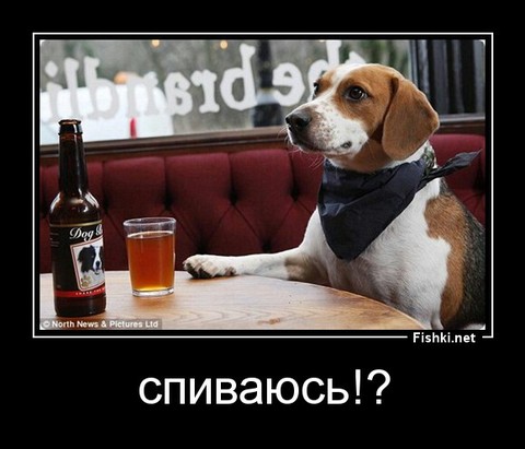 дм.jpg