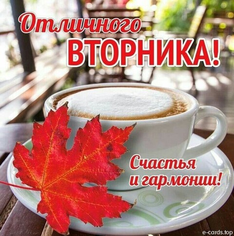Отличного Вторника.jpg