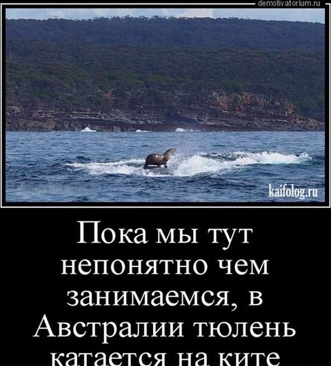 284ae5f3-18e4-4f6d-93eb-35b477bbb4d3.jpg