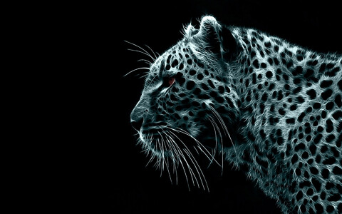 24757-chernyiy fon jivotnoe leopard.jpg