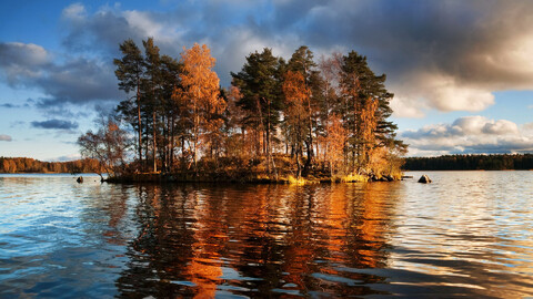 30027-priroda derevya ozero nebo oblaka nature trees the lake sky clouds.jpg