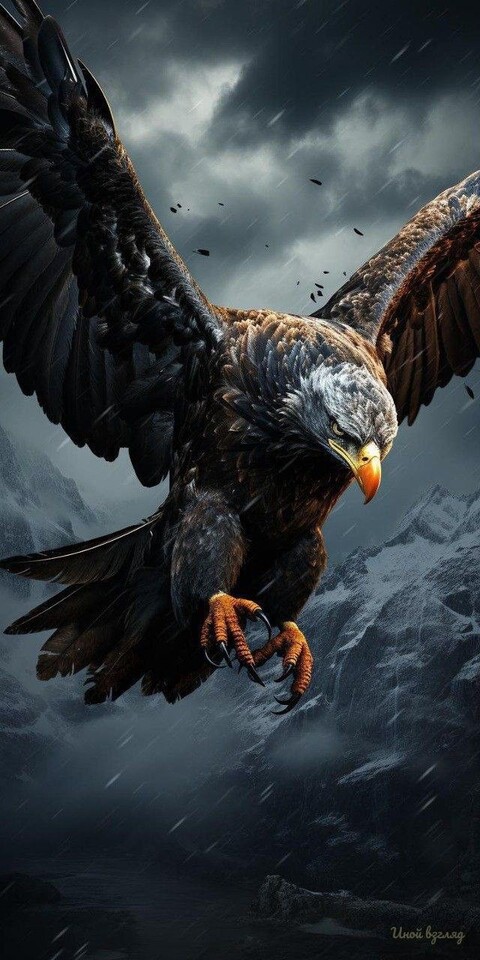 be6f33bf1f8e932a79c999142a15d0a4.jpg