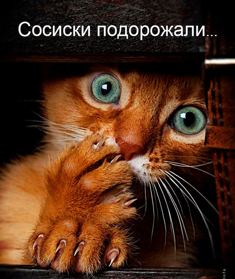 IMG 20150417 132839 0.jpg