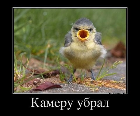 демо.jpg