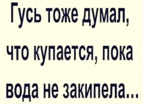 41f2abb6435f7cf9d8165a66f88c1057eaae2f9071fac73a49a20d028245a388 1 jpg 1.jpg