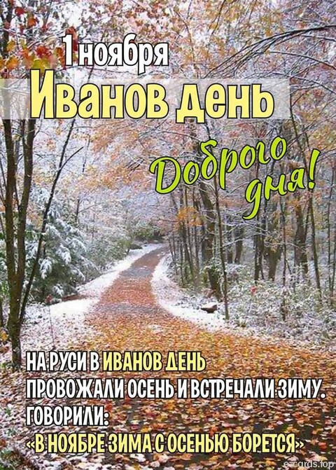 IMG-20241101-WA0000.jpg