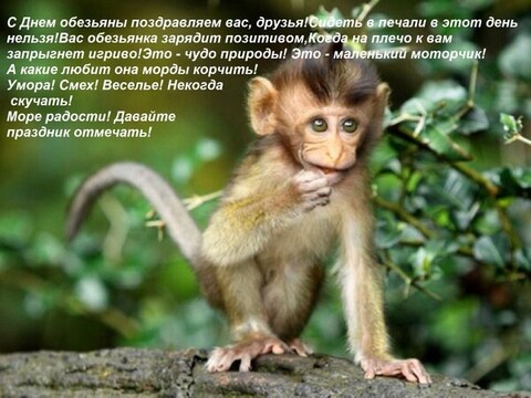 1d2541c8-5f19-48bd-bda0-0ed251572302.jpg