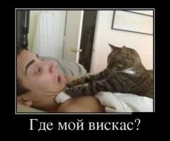 демо 17.jpg