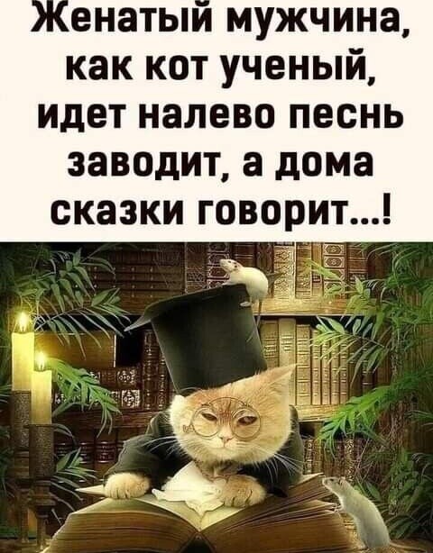 9b00771d-02d6-482a-a320-7ed1e67c617b.jpg