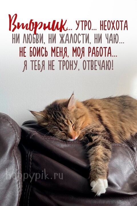 IMG-20230912-WA0006.jpg