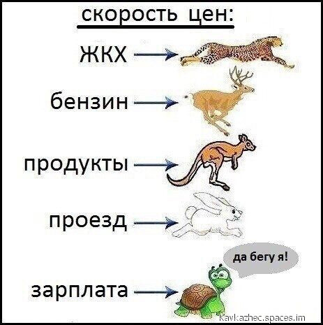 1166429.jpg