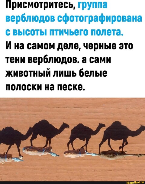 29fce3efe2dfc62de7160f00a5a3794cc7911738614798d55be3100cef9dedd1 1 jpg.jpg