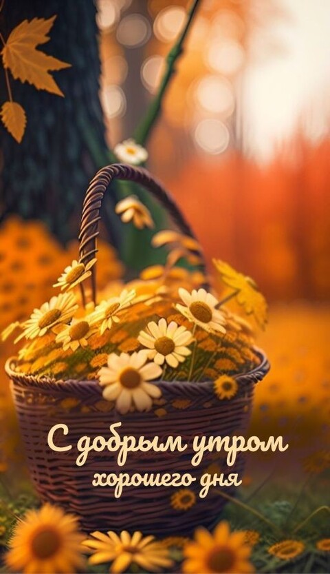 3f1ca9c8d49e6f6c21aeb1ce2be0477e.jpg