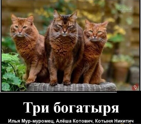 b8280fe7-5f8c-4355-860e-9d124dd39e51.jpg