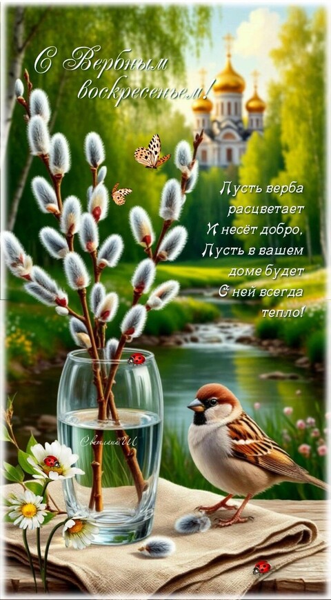15df3a33424b2924a8962dbb3d5642ff.jpg