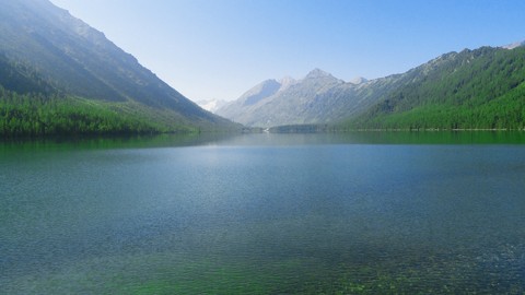 nature.jpg