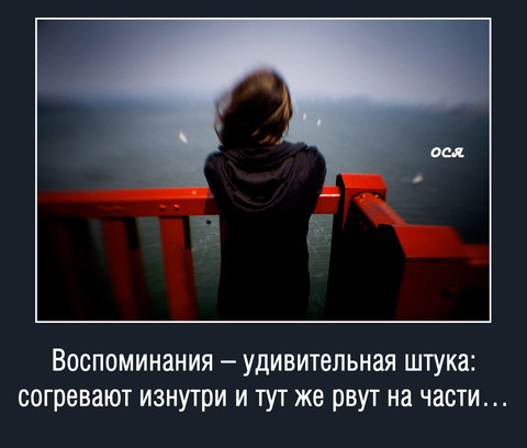 image-7.jpg