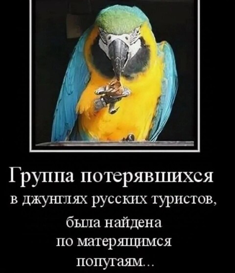 e633c748-043b-4768-b91a-3dfd86e1706f.jpg