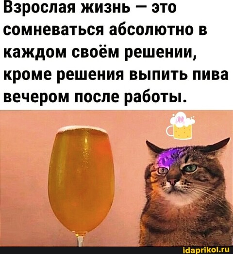 83e7694a79b6dbb899903fdb0e55814e46c09ee91ac43e193c3b1c54f6e984e8 1 jpg.jpg