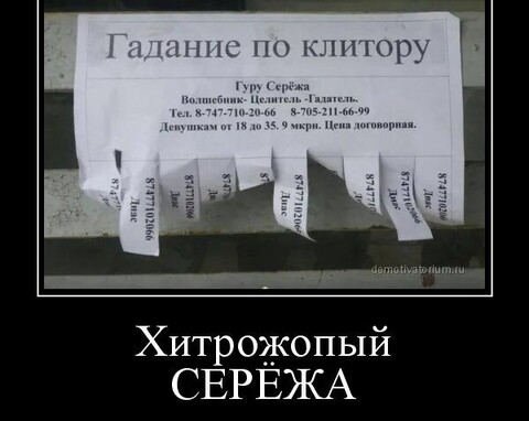 0e69616f-8eba-487b-834d-3c91cb395fdd.jpg