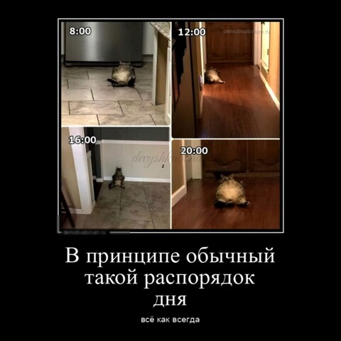 ADBB5772-639C-47A4-B33B-4991F0373C44.jpg