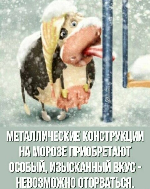 2741f733a08a6a184bc8ff7f1a7f2881cd959a0474a7e4fea90b8361714a93bb 1 jpg 1.jpg