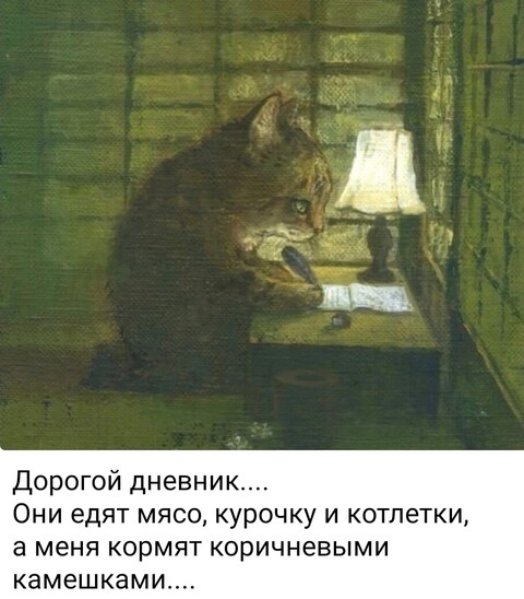 50e2ed5e421eed0f74091fef7b73cd63a7b0c8831181824f68ac05a83536403d 1 jpg 1.jpg