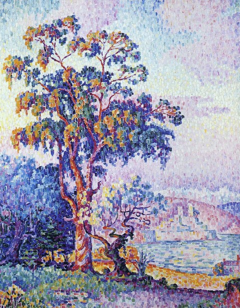 Antibes the Eucalyptus 1913.jpg