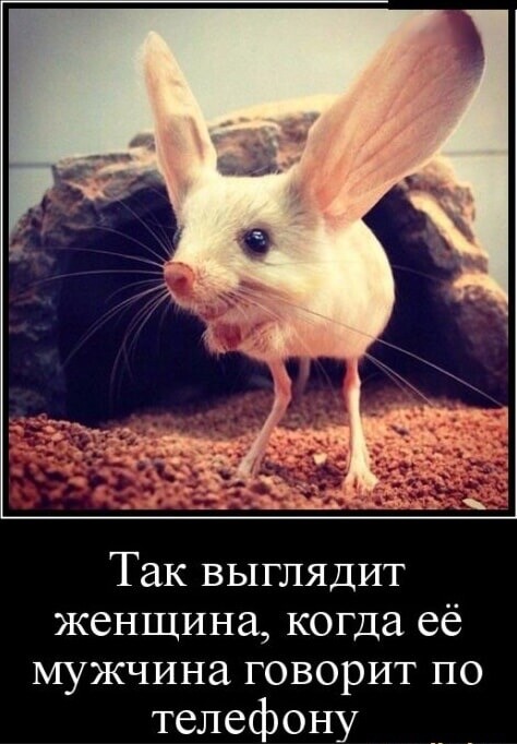 f24b9cd9-cb88-4d60-8fb9-1c3db57c669b.jpg